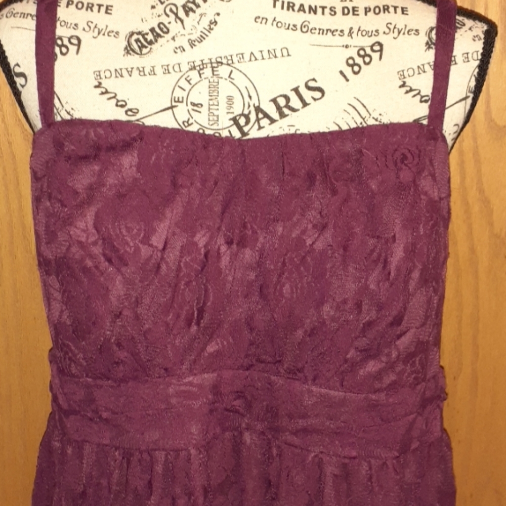 Torrid Purple Lace Dress